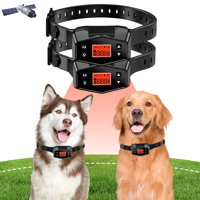 F800 GPS Wireless Outdoor Fence for 2 Dogs - PETHEY