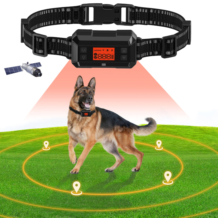F810 GPS Wireless Fence for 2 Dogs - PETHEY