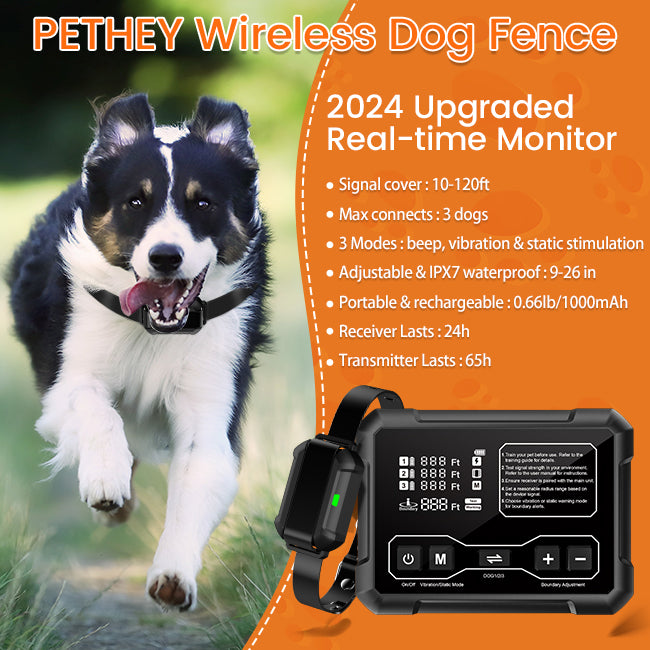 F900 Wireless Fence for 2 Dogs - PETHEY