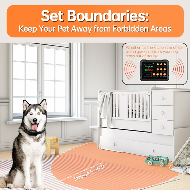 F900Plus Wireless Fence for 2 Dogs - PETHEY