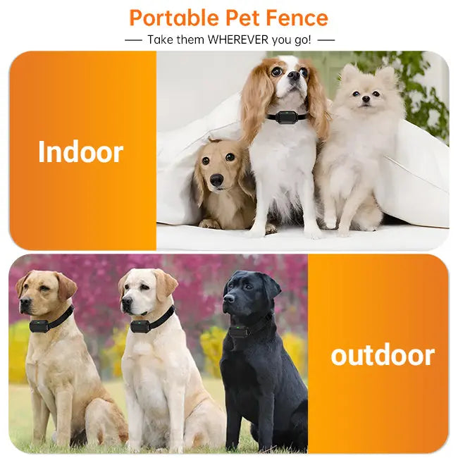 F900 Wireless Dog Fence for outdoor and indoor use