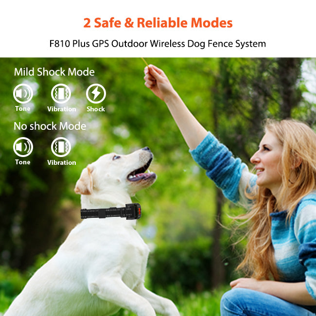F810 GPS Wireless Fence for 2 Dogs - PETHEY