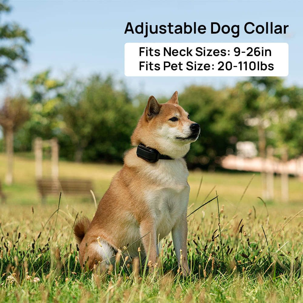 Adjustable wireless dog fence best sale