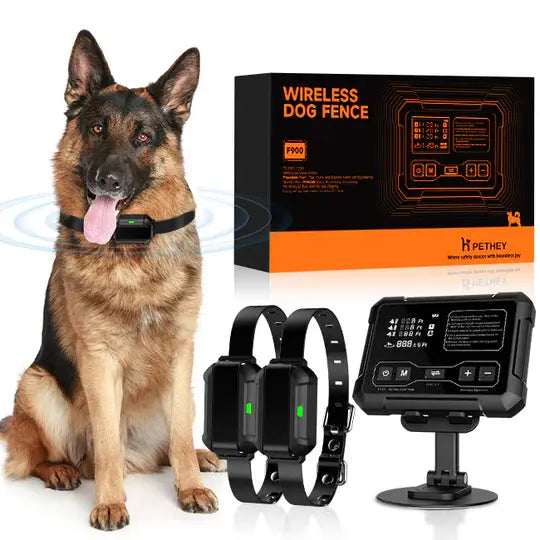 F900 Wireless Dog Fence for 2 dogs