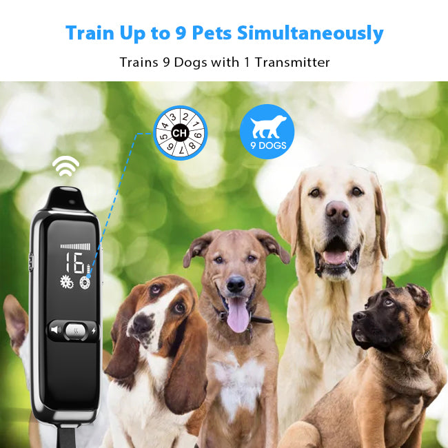 T300 Remote Dog Training Collar - PETHEY